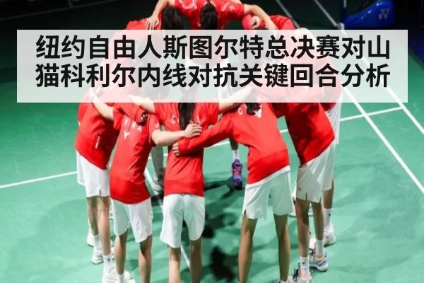 纽约自由人斯图尔特总决赛对山猫科利尔内线对抗关键回合分析